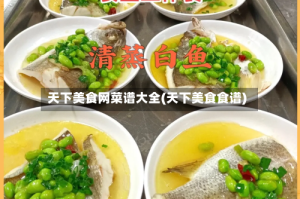 天下美食网菜谱大全(天下美食食谱)