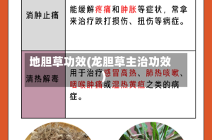 地胆草功效(龙胆草主治功效)