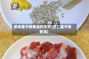 薏米莲子排骨汤的功效(薏仁莲子排骨汤)