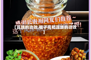 【豆豉的功效,栀子花和豆豉的功效】