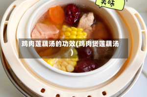鸡肉莲藕汤的功效(鸡肉煲莲藕汤)