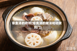章鱼汤的功效(章鱼汤的做法和功效窍门)
