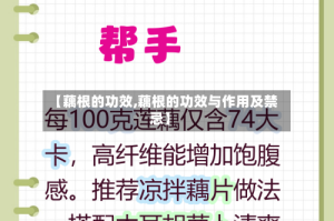 【藕根的功效,藕根的功效与作用及禁忌】