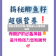 鲫鱼功效与作用/鲫鱼有什么营养和功效
