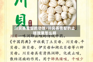 川贝蒸雪梨的功效/川贝蒸雪梨的止咳效果怎么样