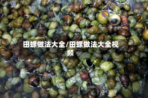 田螺做法大全/田螺做法大全视频