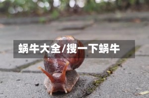 蜗牛大全/搜一下蜗牛