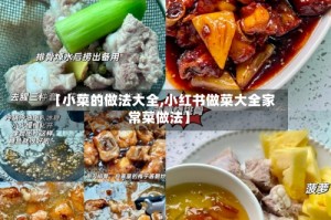 【小菜的做法大全,小红书做菜大全家常菜做法】