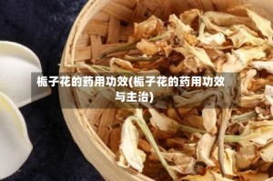 栀子花的药用功效(栀子花的药用功效与主治)