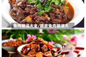 兔肉做法大全/脆皮兔肉做法大全