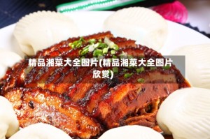 精品湘菜大全图片(精品湘菜大全图片欣赏)