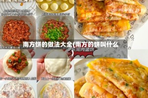 南方饼的做法大全(南方的饼叫什么)