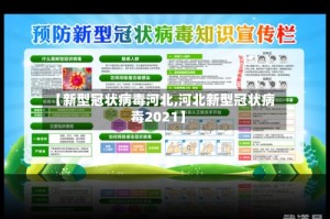 【新型冠状病毒河北,河北新型冠状病毒2021】