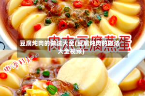 豆腐炖肉的做法大全(豆腐炖肉的做法大全视频)