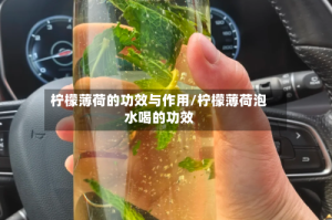 柠檬薄荷的功效与作用/柠檬薄荷泡水喝的功效