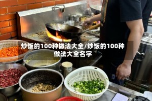炒饭的100种做法大全/炒饭的100种做法大全名字