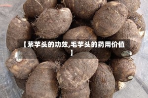 【茅芋头的功效,毛芋头的药用价值】