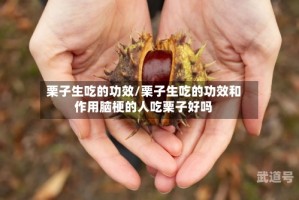 栗子生吃的功效/栗子生吃的功效和作用脑梗的人吃栗子好吗