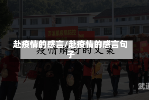 赴疫情的感言/赴疫情的感言句子