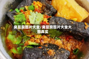 臭豆腐图片大全/臭豆腐图片大全大图真实