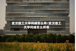 武汉理工大学何峰怎么样/武汉理工大学何峰怎么样啊