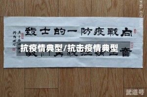 抗疫情典型/抗击疫情典型