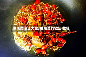 麻辣烫做法大全/麻辣烫的做法 教程