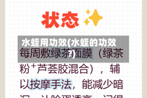 水蛭用功效(水蛭的功效?)