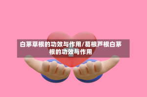 白茅草根的功效与作用/葛根芦根白茅根的功效与作用