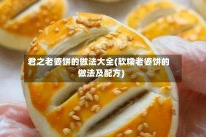 君之老婆饼的做法大全(软糯老婆饼的做法及配方)