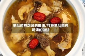 羊肚菌炖鸡汤的做法/竹荪羊肚菌炖鸡汤的做法