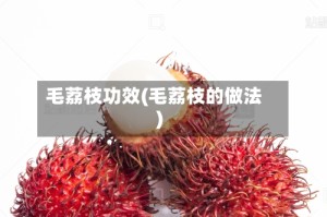 毛荔枝功效(毛荔枝的做法)
