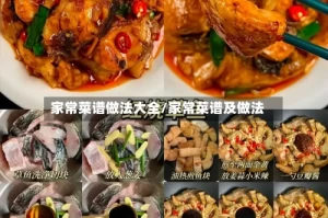 家常菜谱做法大全/家常菜谱及做法