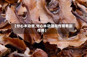 【分心木功效,分心木功效与作用有副作用】