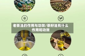 老茶油的作用与功效/茶籽油有什么作用和功效