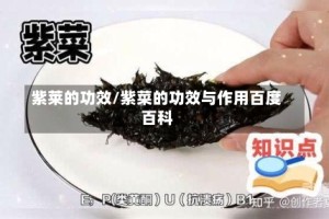 紫莱的功效/紫菜的功效与作用百度百科