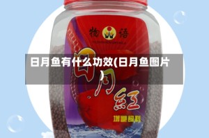 日月鱼有什么功效(日月鱼图片)