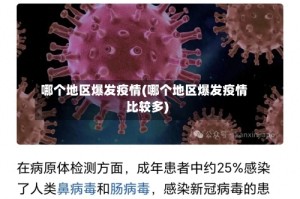 哪个地区爆发疫情(哪个地区爆发疫情比较多)
