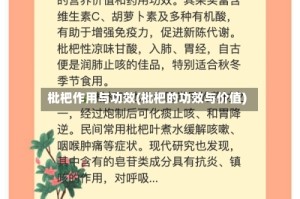 枇杷作用与功效(枇杷的功效与价值)