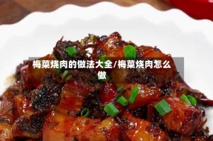 梅菜烧肉的做法大全/梅菜烧肉怎么做