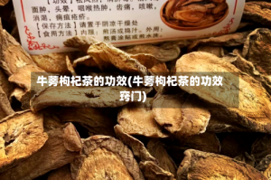 牛蒡枸杞茶的功效(牛蒡枸杞茶的功效窍门)