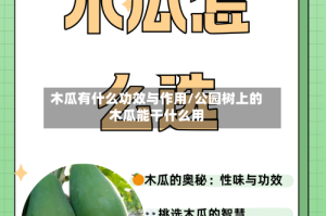 木瓜有什么功效与作用/公园树上的木瓜能干什么用