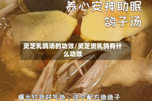 灵芝乳鸽汤的功效/灵芝煲乳鸽有什么功效