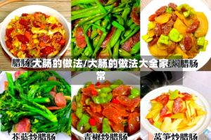 大肠的做法/大肠的做法大全家常