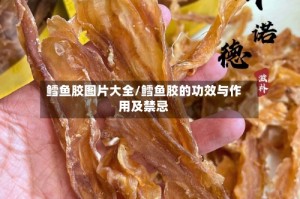 鳕鱼胶图片大全/鳕鱼胶的功效与作用及禁忌
