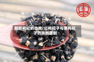 新鲜枸杞的功效/红枸杞子与黑枸杞子药效的区别