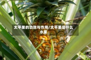 太平果的功效与作用/太平果是什么水果
