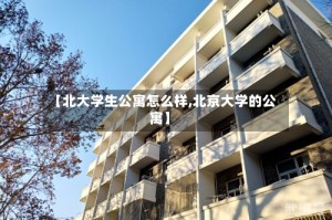【北大学生公寓怎么样,北京大学的公寓】