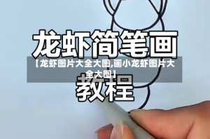 【龙虾图片大全大图,画小龙虾图片大全大图】