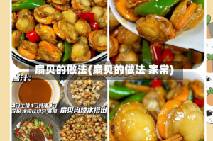 扇贝的做法(扇贝的做法 家常)